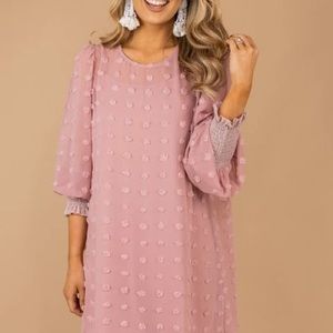 Dusty Pink Swiss Dot Dress 💕